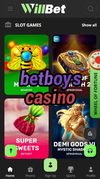 Betboys Casino - Male-Friendly Casino-casinocasi.ydblkf.net
